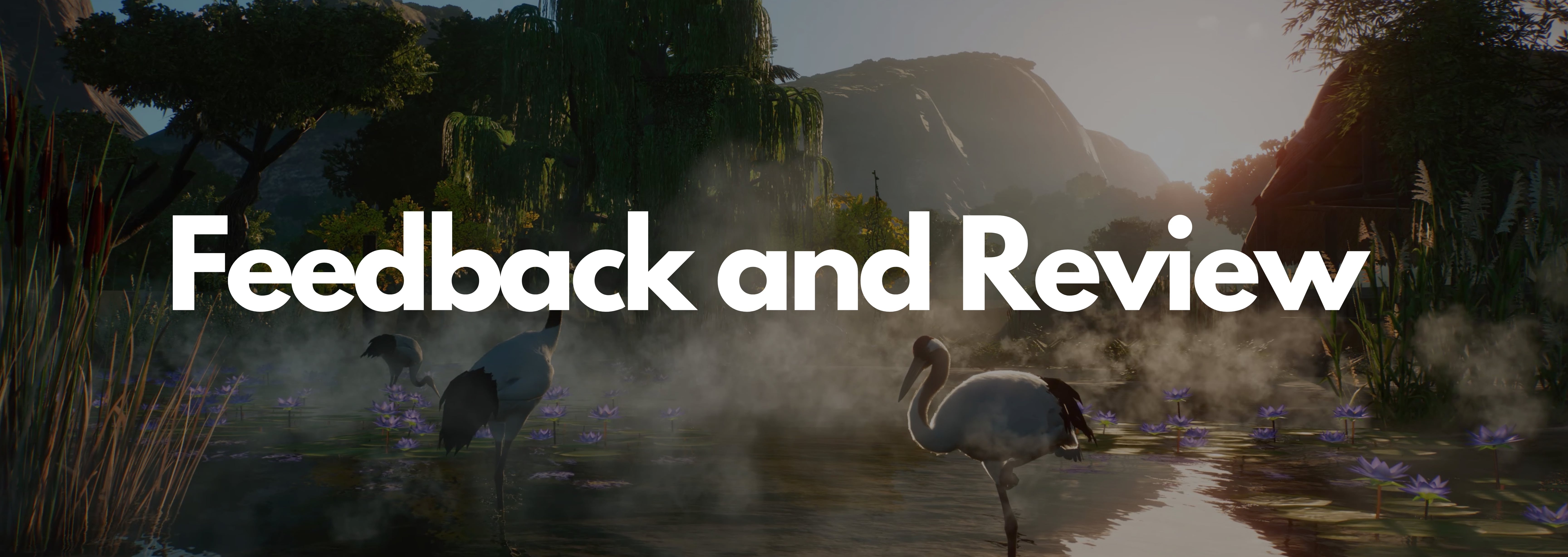 Feedback and Review Background