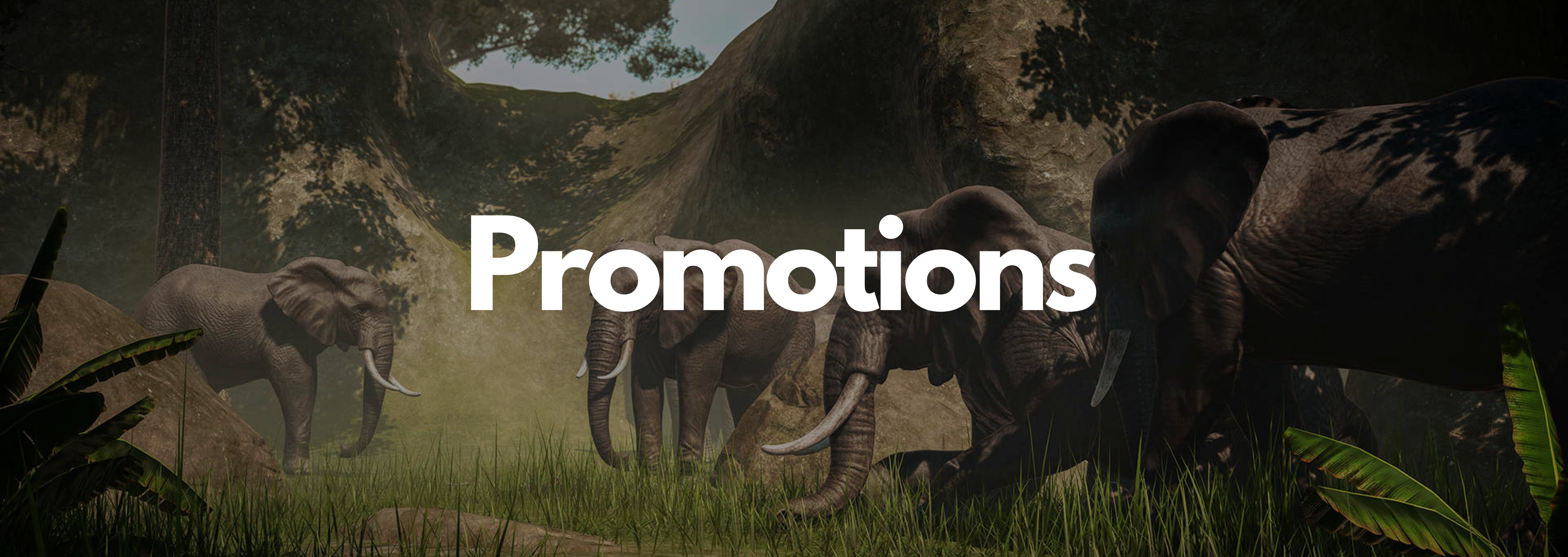 Promotions Background