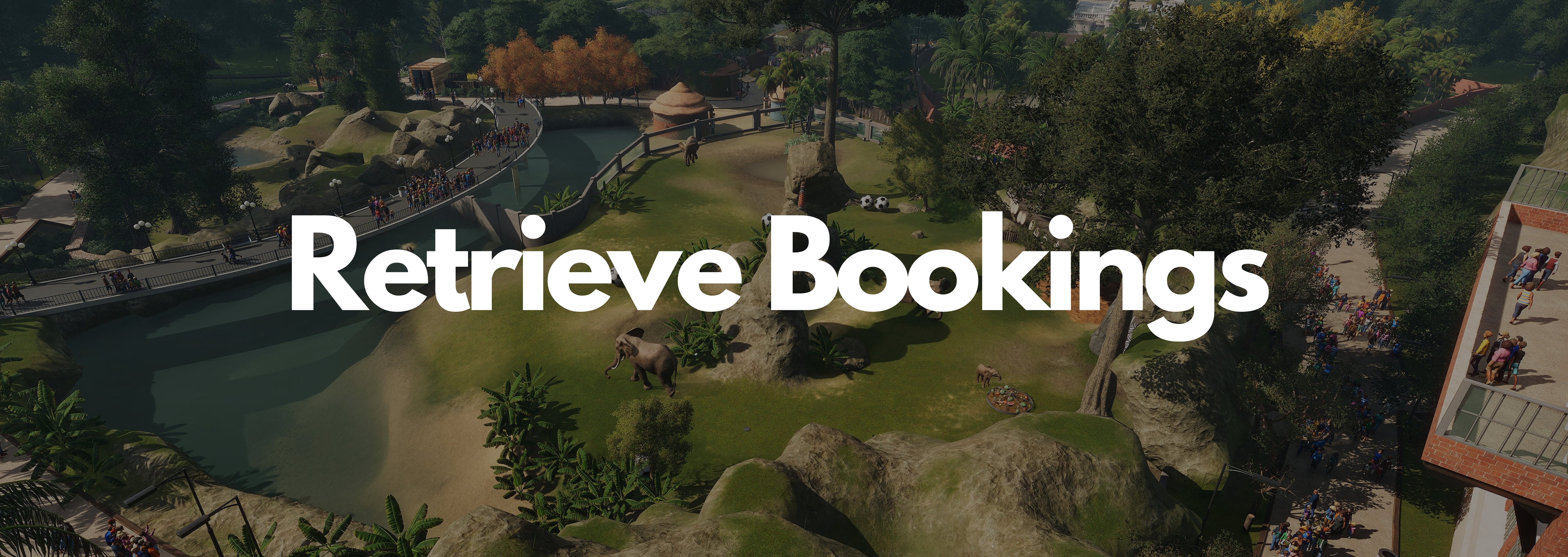 Retrieve Booking Background